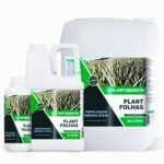 PLANT FOLHAS