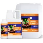 Uharis Plant V.G.